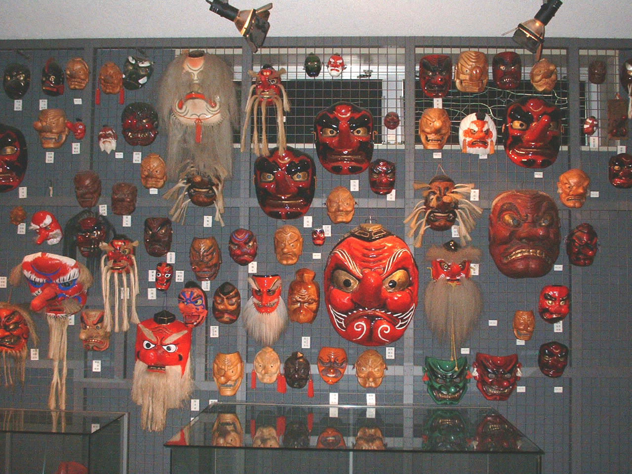 MVR@V̊قłBkCRi1MVRRɂ܂B{S񑡂ĒV̂ʂWĂ܂B