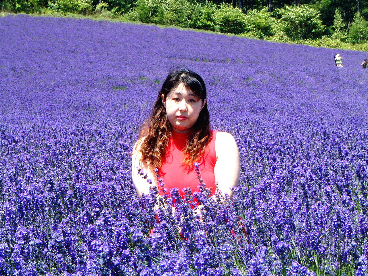 xǖ샏C̃x_[ł́Ax_[̒ɓĎʐ^B鎖o܂B