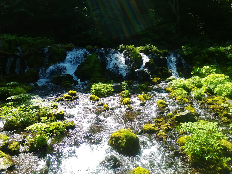 ɕoi{SI1jłBybg{gɐĂAo܂B