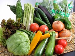 サラダは佐賀県産の旬野菜を使用。シェフオリジナルのドレッシングもおすすめ!