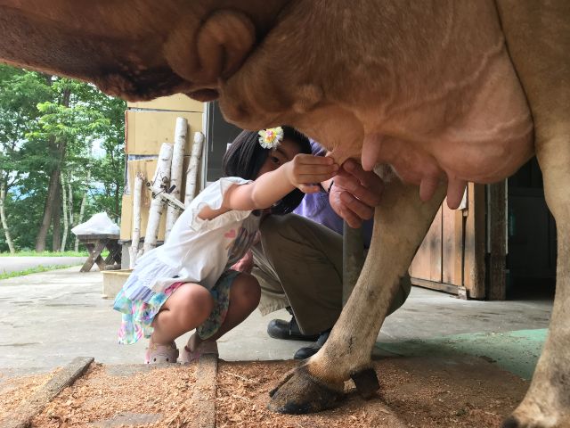 土日祝 午後2時から限定 ふれあい乳しぼり体験 奥飛騨山之村牧場 じゃらん遊び体験 土日祝 午後2時から限定 ふれあい乳しぼり体験 奥飛騨山之村牧場 じゃらん遊び体験