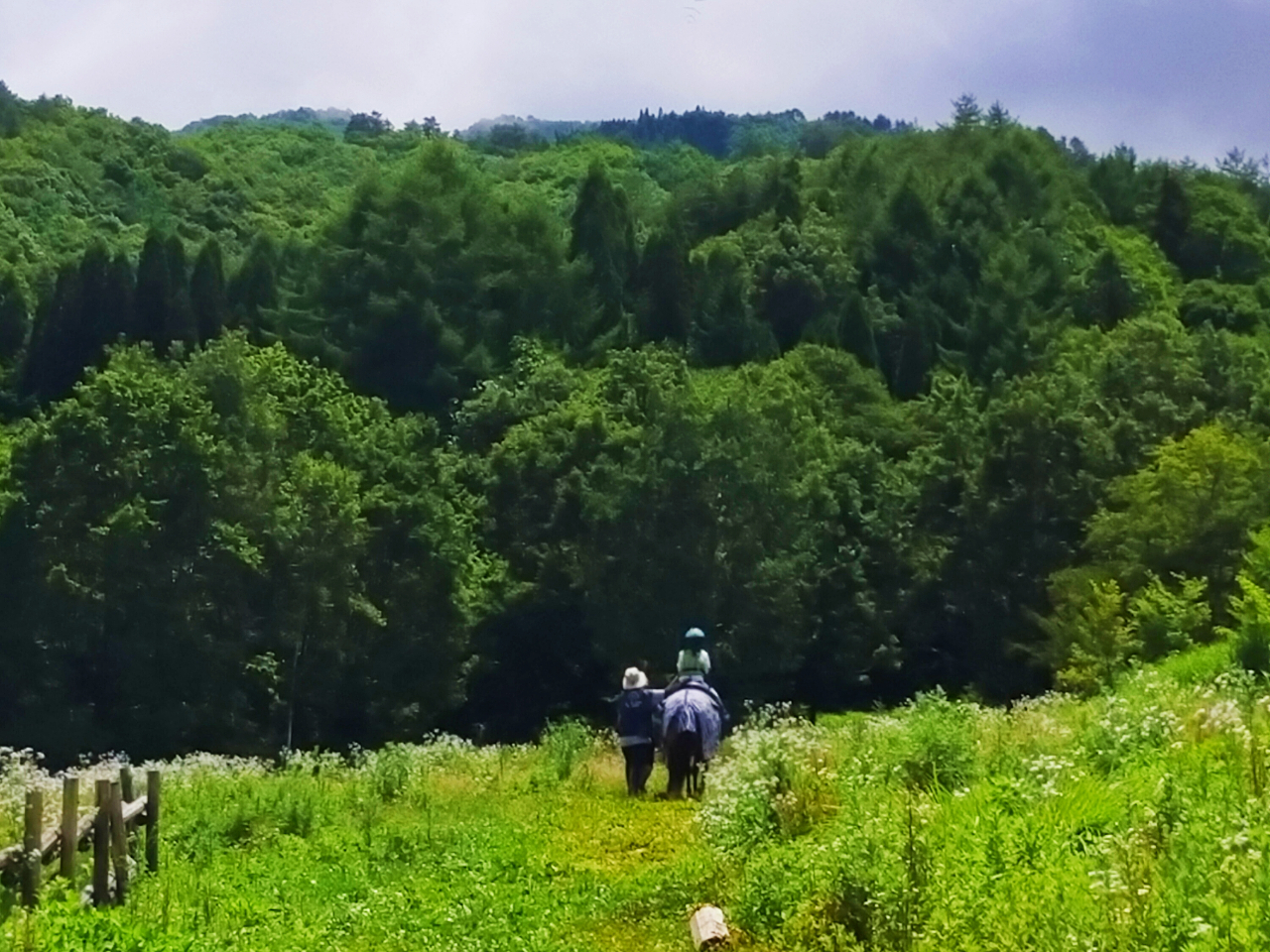 �q���n�ł̑̌��̏ꍇ�͗΂����ς��̒����������y���߂܂�