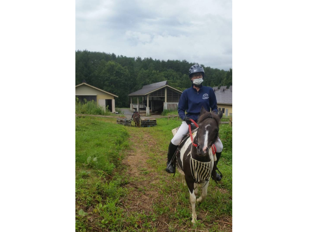 �⓹���ւ������̌��C�����ς��̃|�j�[�ł��i�q���n�R�[�X�ł̎ʐ^�ł��j