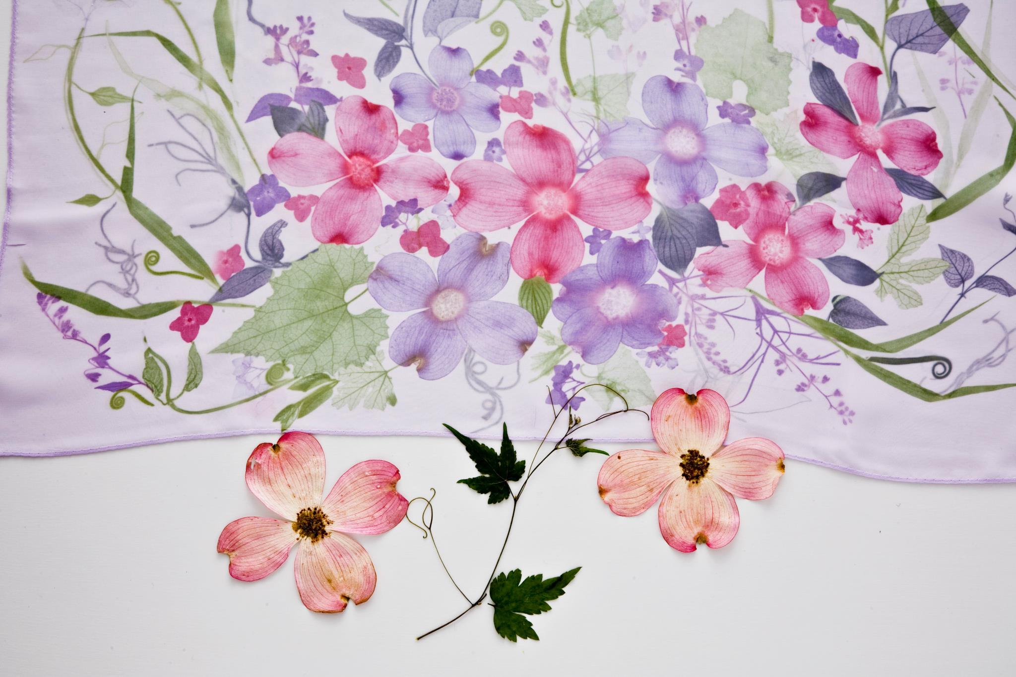 R̉tAԂ`[tɐEłЂƂ̃fUC߂܂B