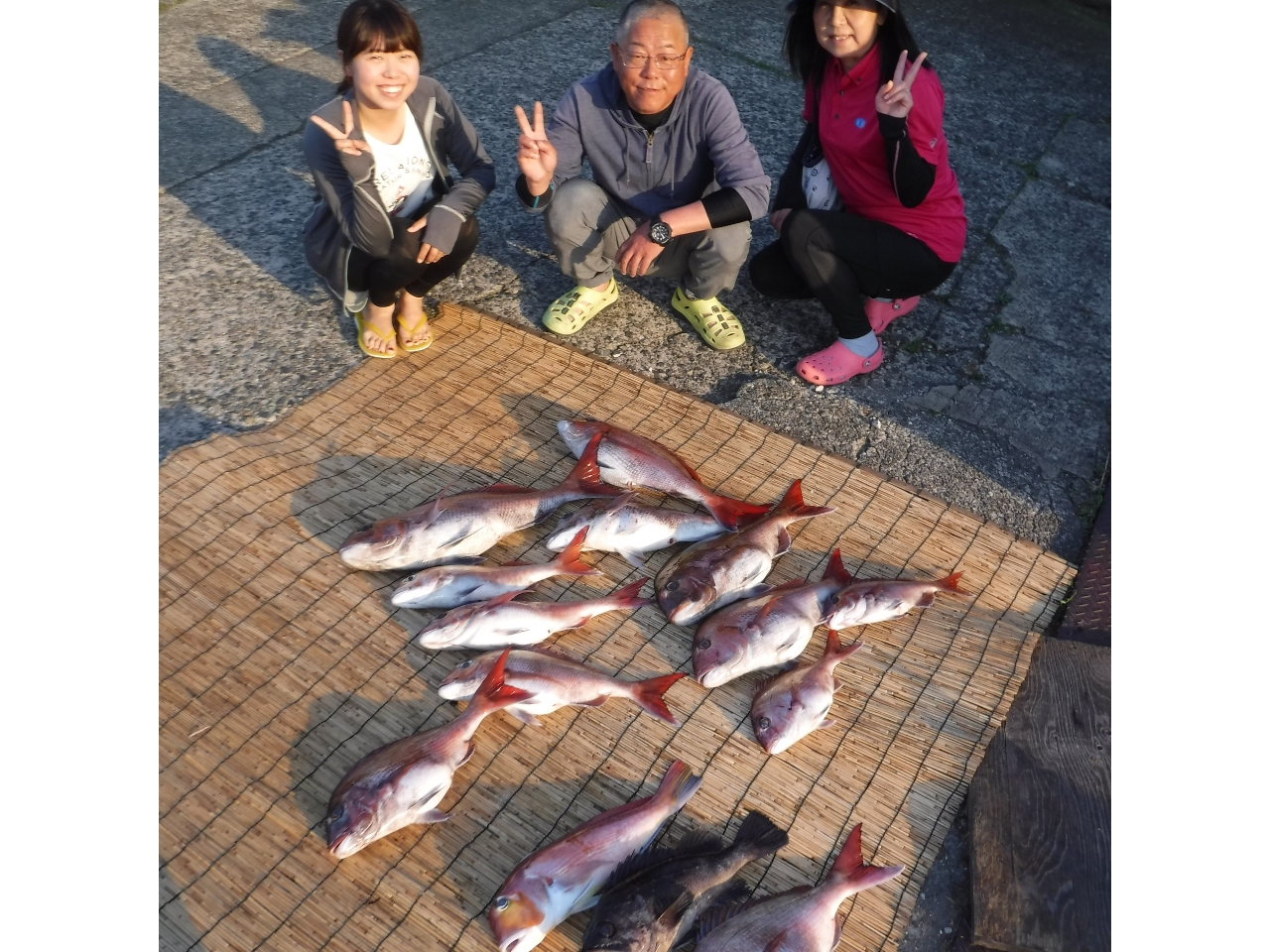 当船ご予約された方限定 サビキ釣り用の道具一式レンタル サビキ釣りに必要な道具一式をお貸しします 大物の釣り上げに挑戦 初心者 家族も大歓迎 アラタニ釣具店 じゃらん遊び体験