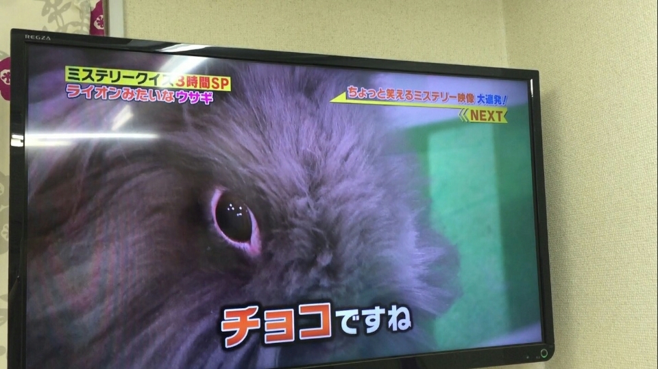 CIwbĥ傱́AuEیer{vɂo܂B