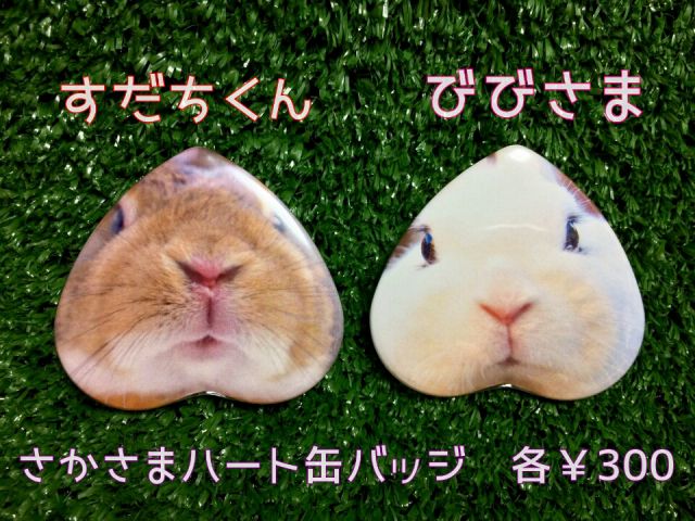 お土産に限定缶バッチはいかがですか?