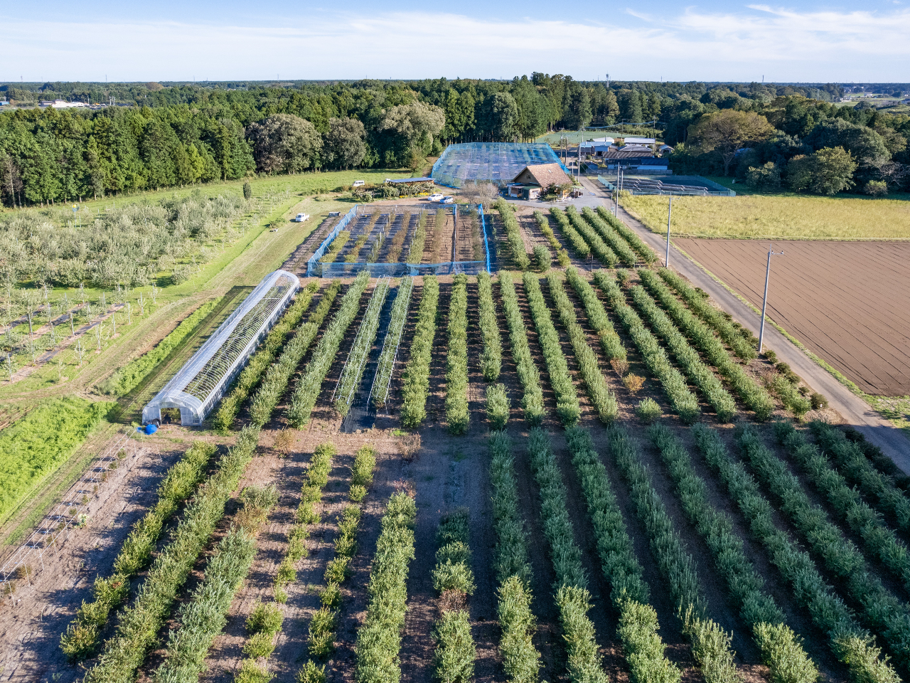 �������Ƃ������Ԃ����߂������������B