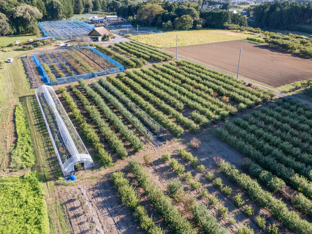 �������Ƃ������Ԃ����߂������������B