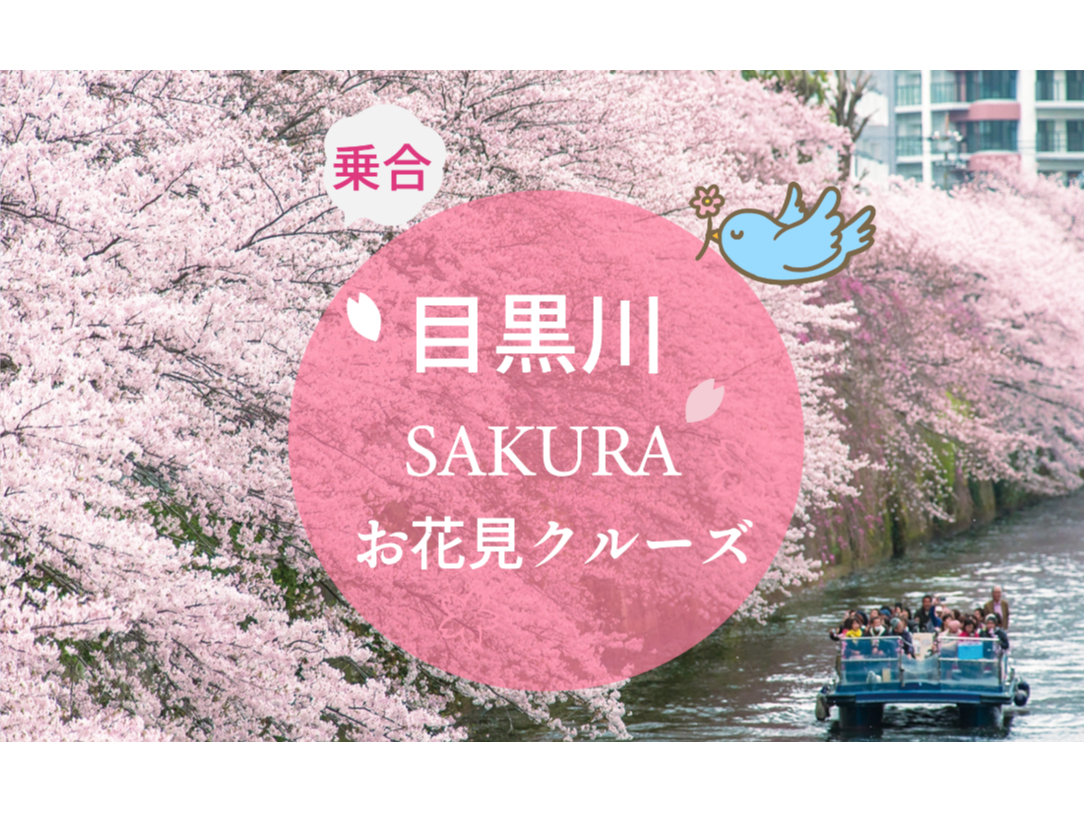 お花見 84171-16-