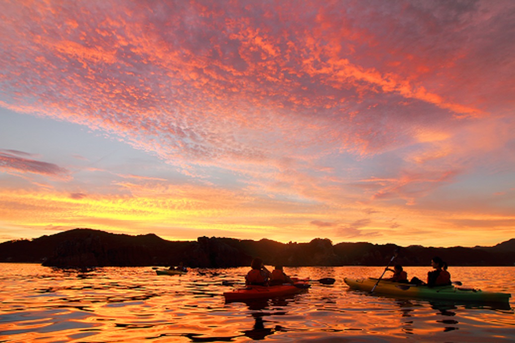 z񂾂Ƃ[Ă̖{Ԃł@ɐ^Ԃȗ[ĂƂ