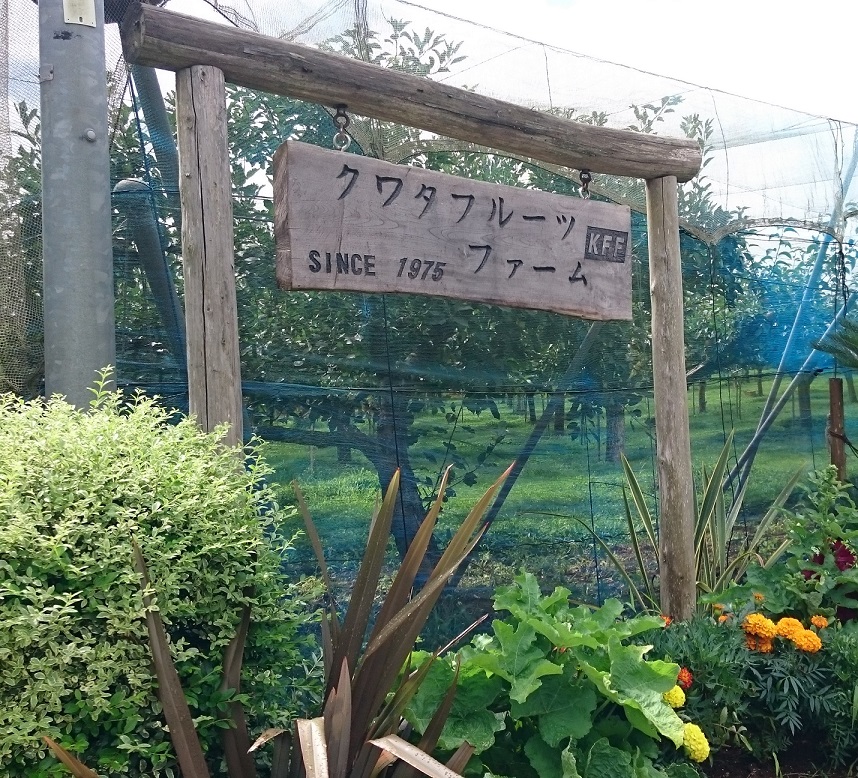 【2026夏開催】500gまでブルーベリー摘み取り体験♪時間無制限で摘み取りが出...