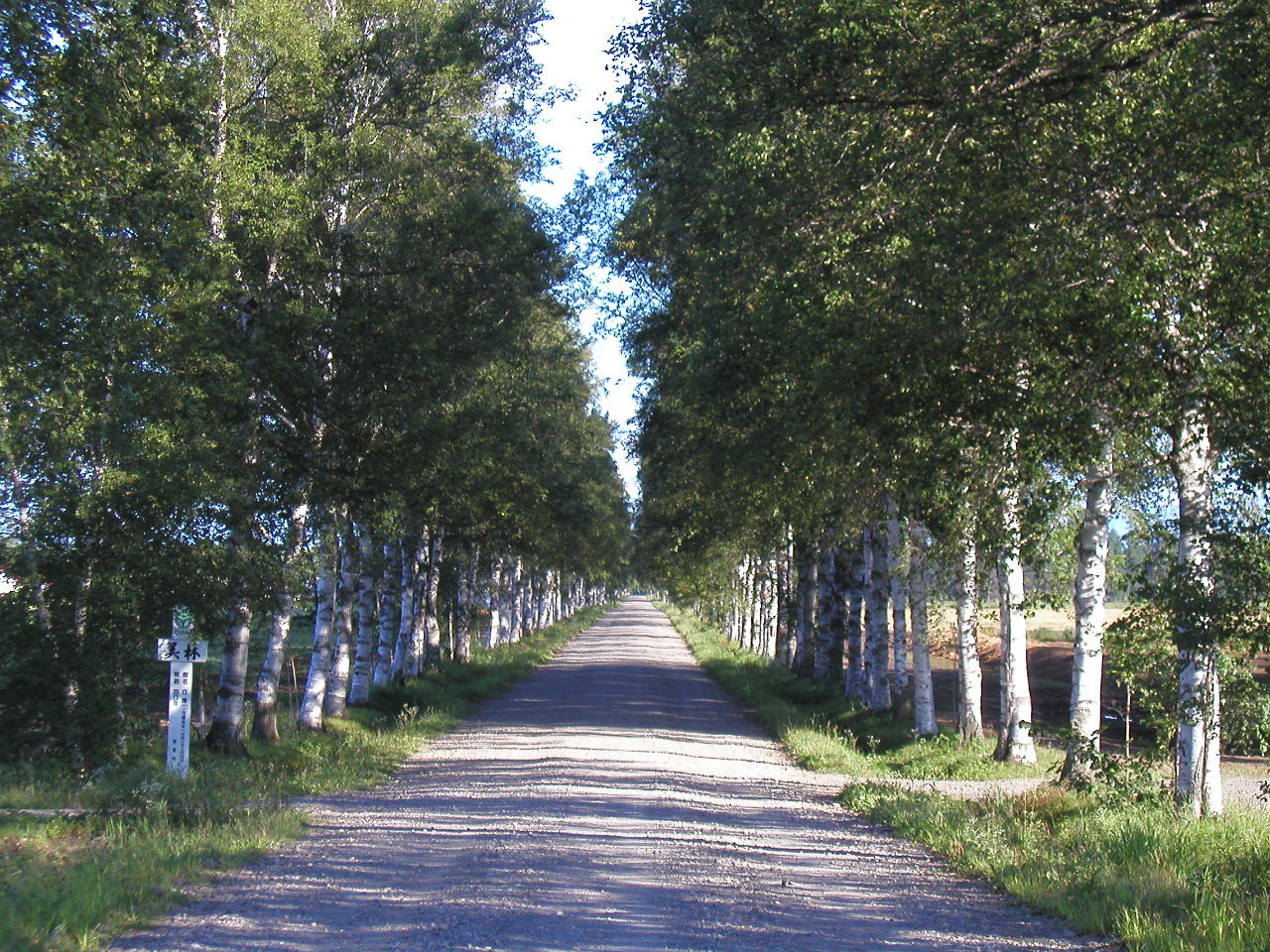 北海道ジャンボタクシー観光(帯広・十勝圏)10時間コース 帯広十勝川温泉送り。
