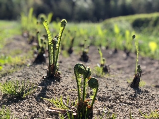 �������R���͖����̂ŏ��S�҂̕������S��