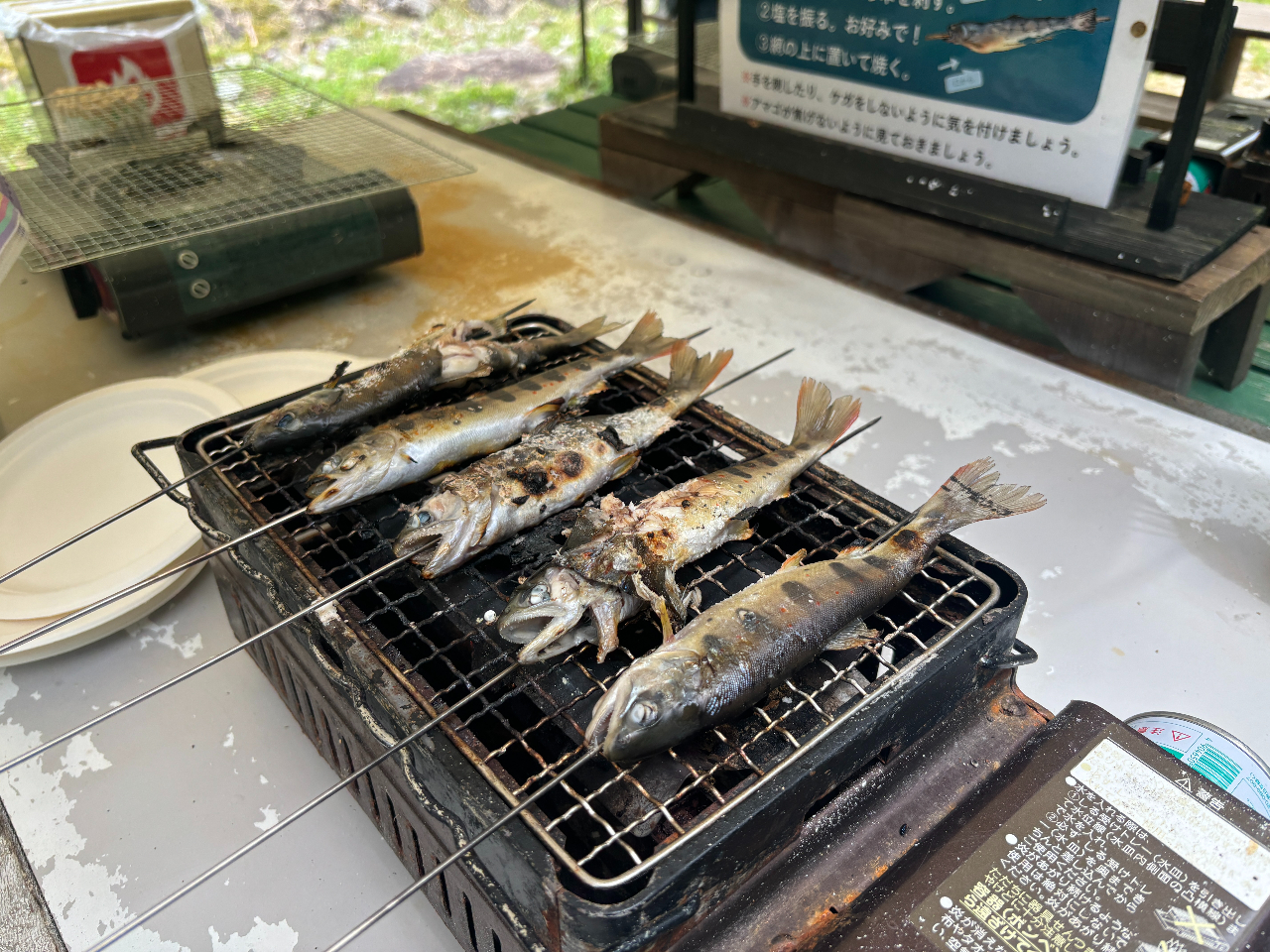 ܂܂͉ĂɁIRȂǂ͏Ă܂