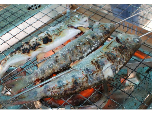 釣ったあまごは塩焼きで召し上がれ