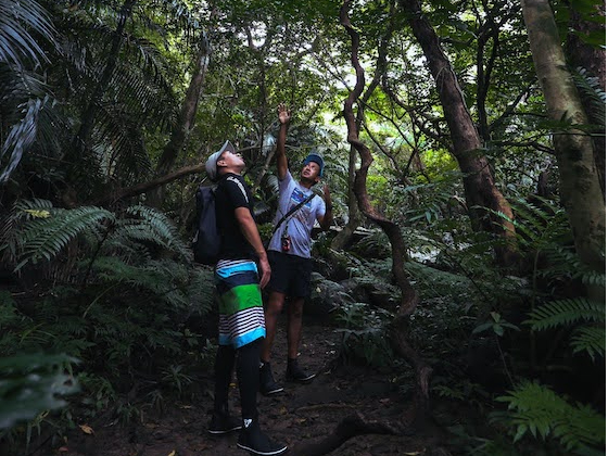 ���������邩�ȁH