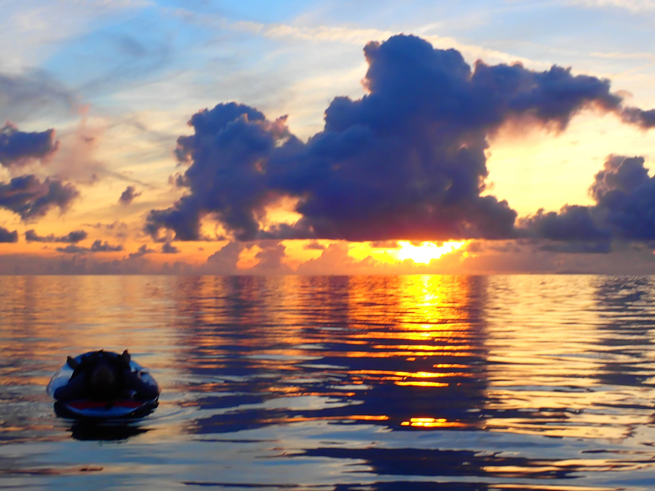 ����̌������痣��A�厩�R�̒��ł̃��g���[�g