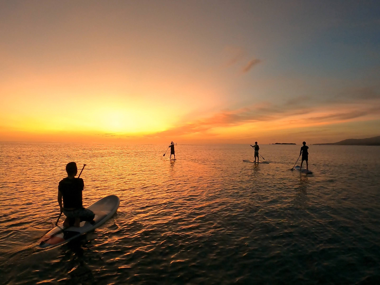 �݂�ȂŃ��C���C�I���������Ȃ���̏��q��I���q���ɃI�X�X���̑����F�T�����C�YSUP�I