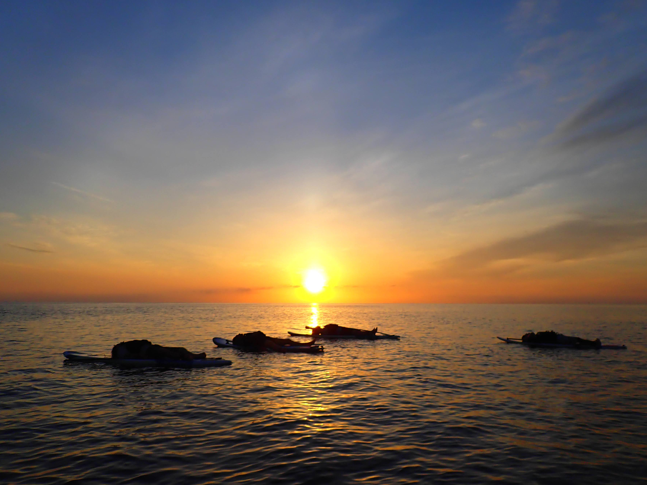 �����F�T�����C�YSUP�̂��Q���𐼕\���ł��҂����Ă��܂��B