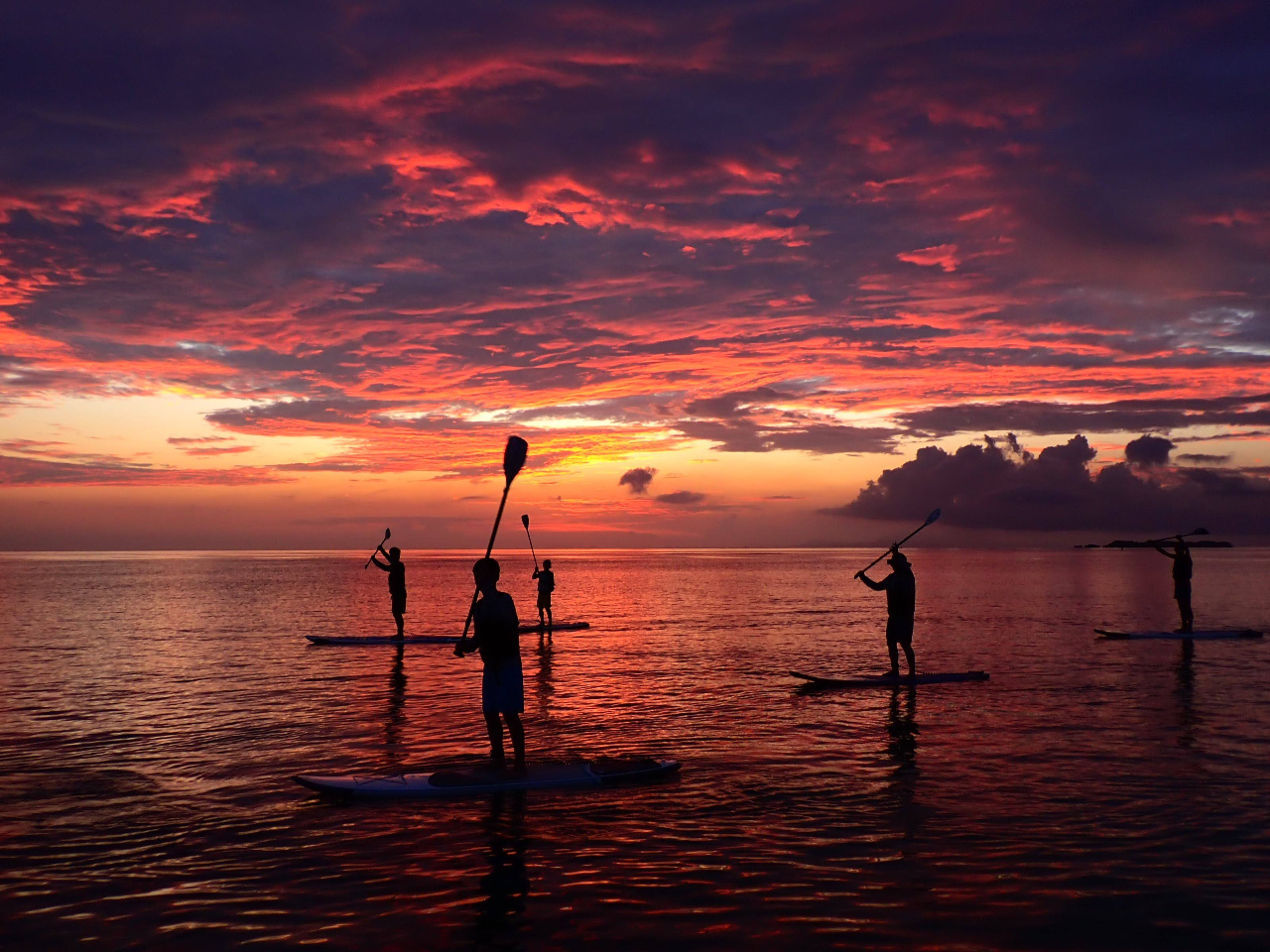 �Ԃ����܂钩�Ă����݂Ȃ���c�A�[�X�^�[�g�I