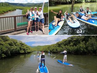 半日SUPで大自然のジャングルをゆっくりと感じながらSUPクルーズ