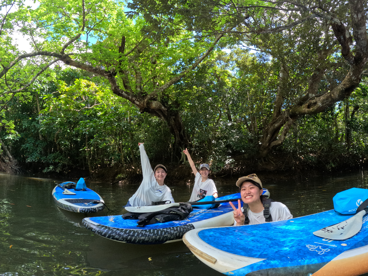 �r�t�o���S�҂����v�B�v���K�C�h���ē�