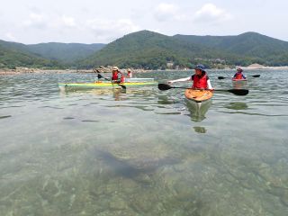 透明度が良いエリアです。緑豊かな陸の景色も、美味しそうな海の生き物たちも、のんびり観察できます。