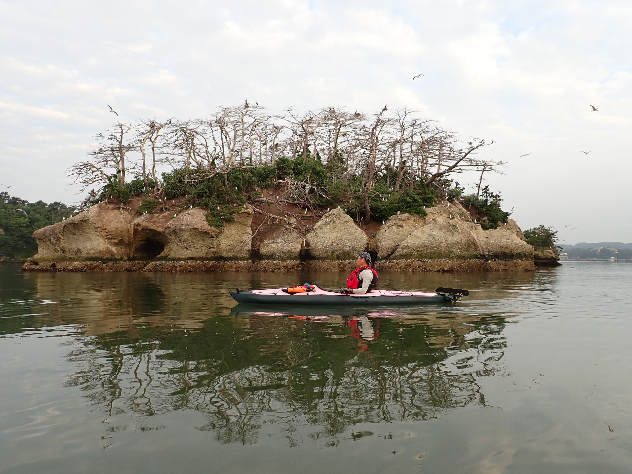 海鳥やサギの繁殖地も何カ所かにあります