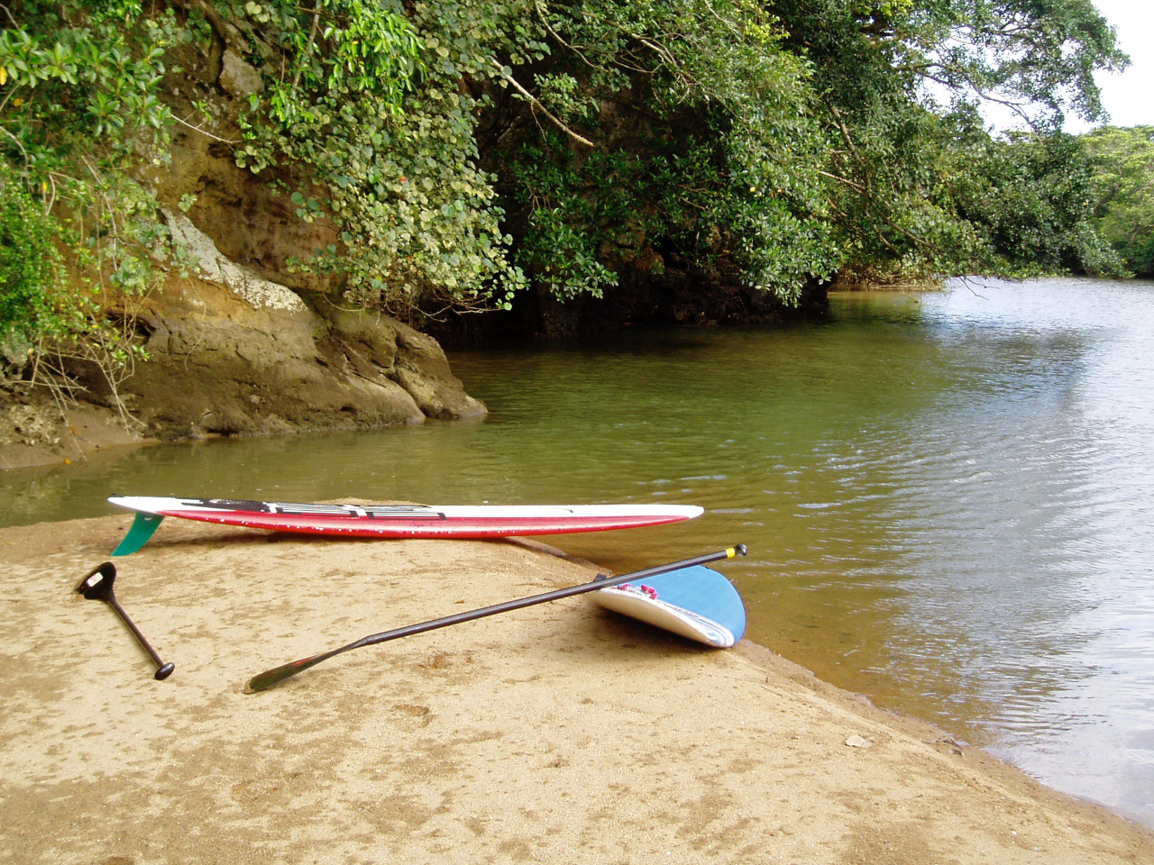 ݂̂̃^ł̂͊qp݂̂ł肢܂BiԂłǂɉ^ł̃^͂ł܂j