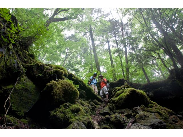 経験豊富なガイドが楽しく安全にご案内いたします。