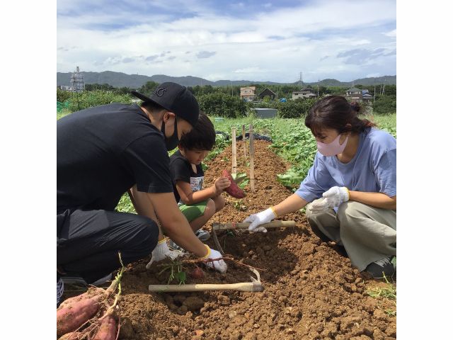 自然の中での収穫体験は気持ちいいですよ♪
