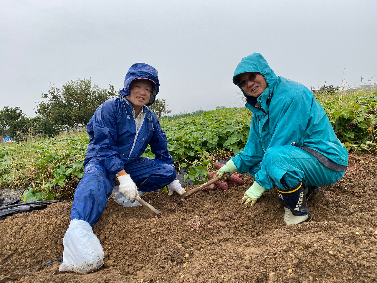 子供〜大人まで楽しく掘ることができます!