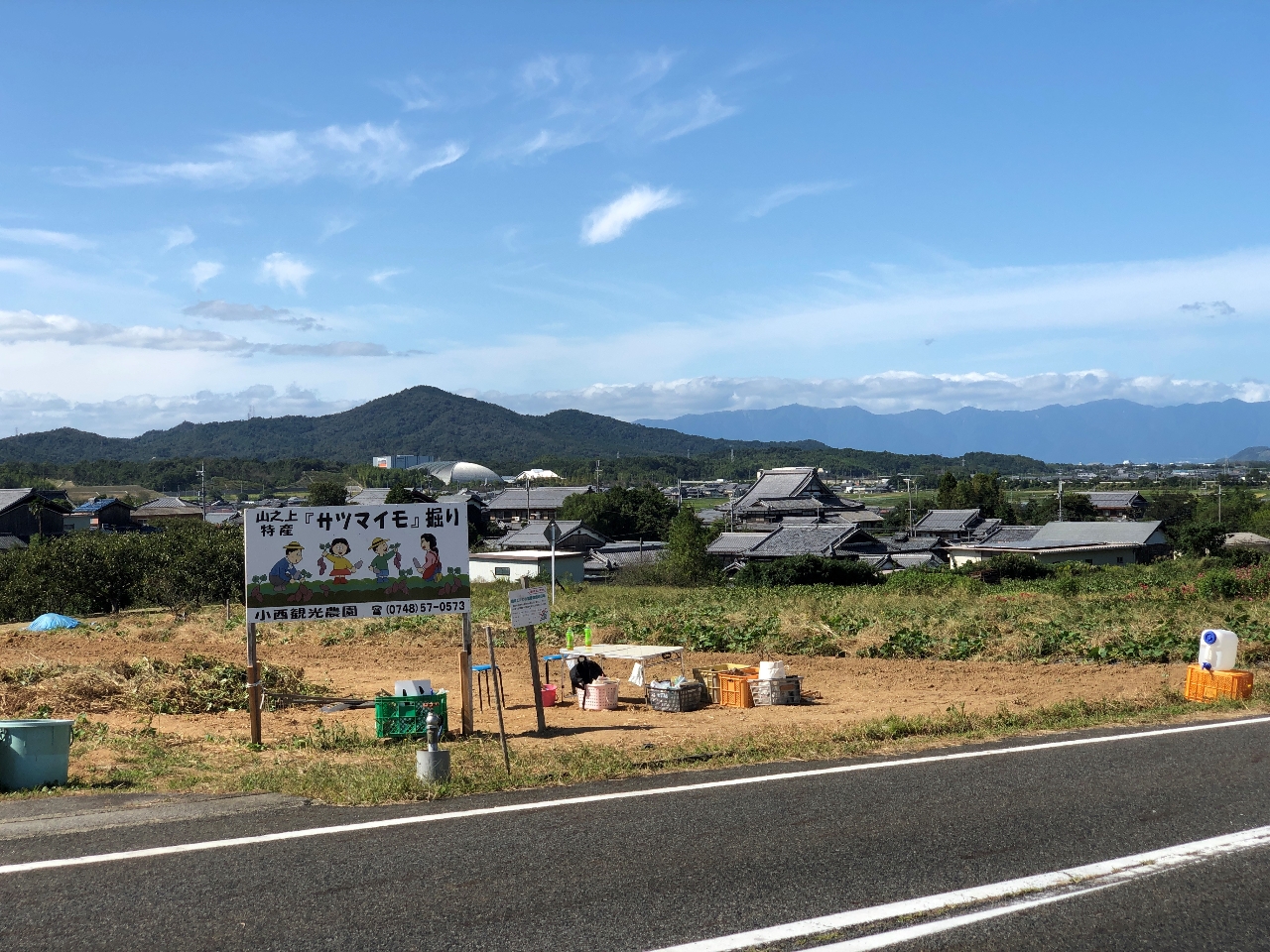 こちらの畑は、鳴門金時のみの畑です!なくなり次第、違う畑にご案内しております!