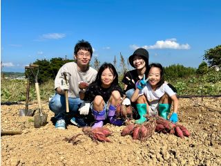 お子様も大人様も芋ほりをお楽しみください♪