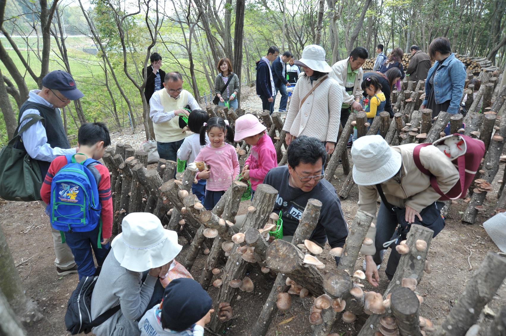 木洩れ日がふりそそぐ木立ちの中でのしいたけ狩り♪