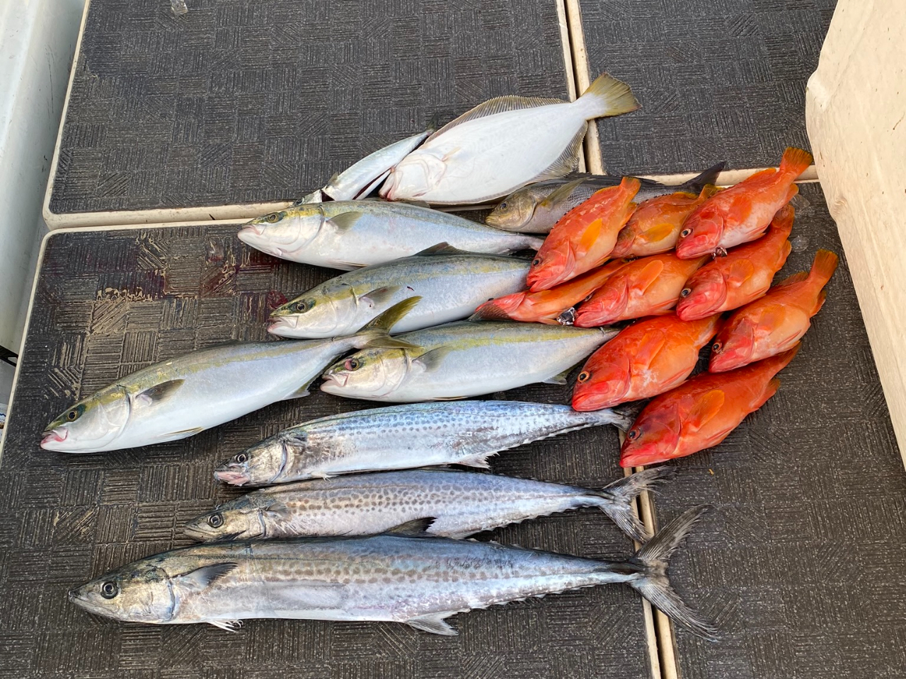 sSLJiX[p[CgWMOjłvł