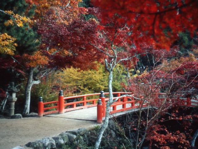 紅葉の美しい「安芸の宮島」へお出かけください。