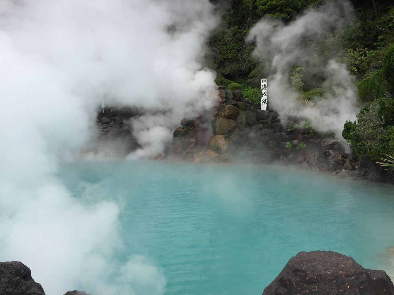 �_�C�r���O��͕ʕ{�ό����Y�ꂸ�ɁI