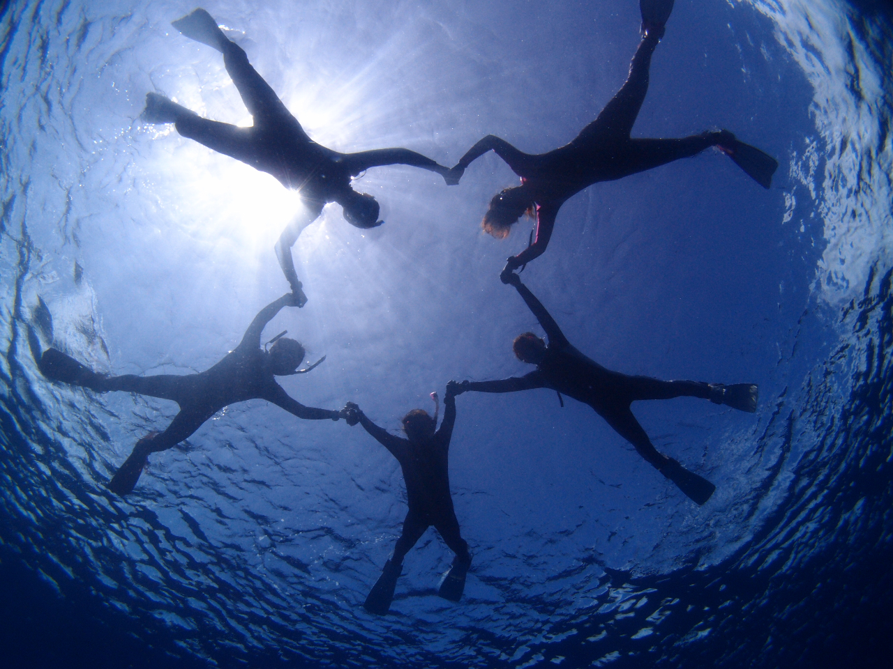 �_�C�r���O���y�����Ǝv������A���C�Z���X���擾���Đ��E�̊C�֗V�тɍs�����I