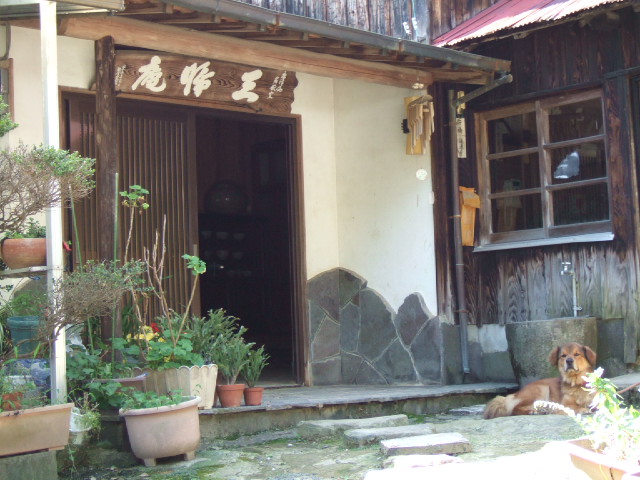 遊ぶ・体験する｜肥前やきもの圏｜400年熟成観光地