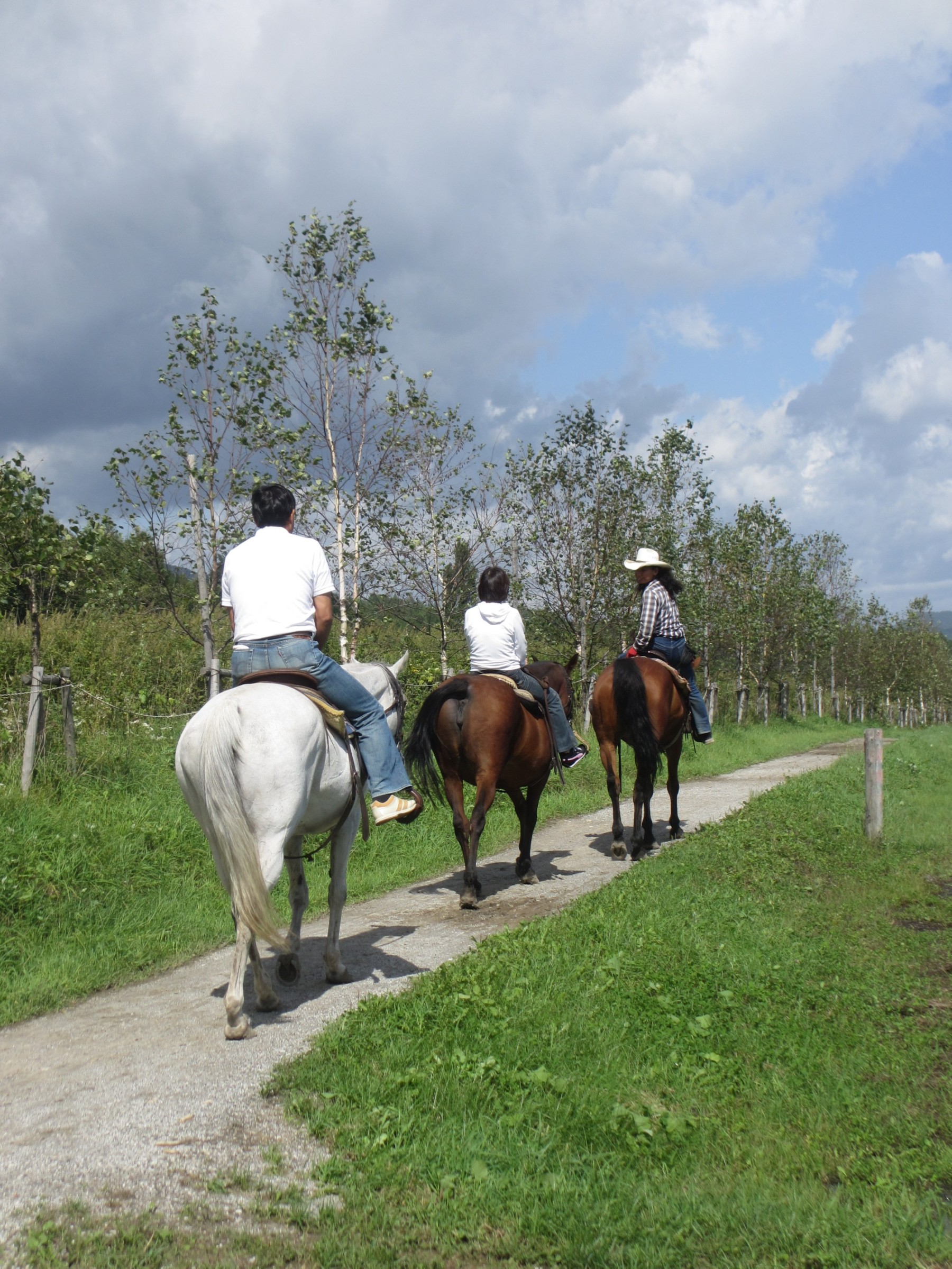 運動場を出て牧草地をお散歩します!道草にお気をつけて☆