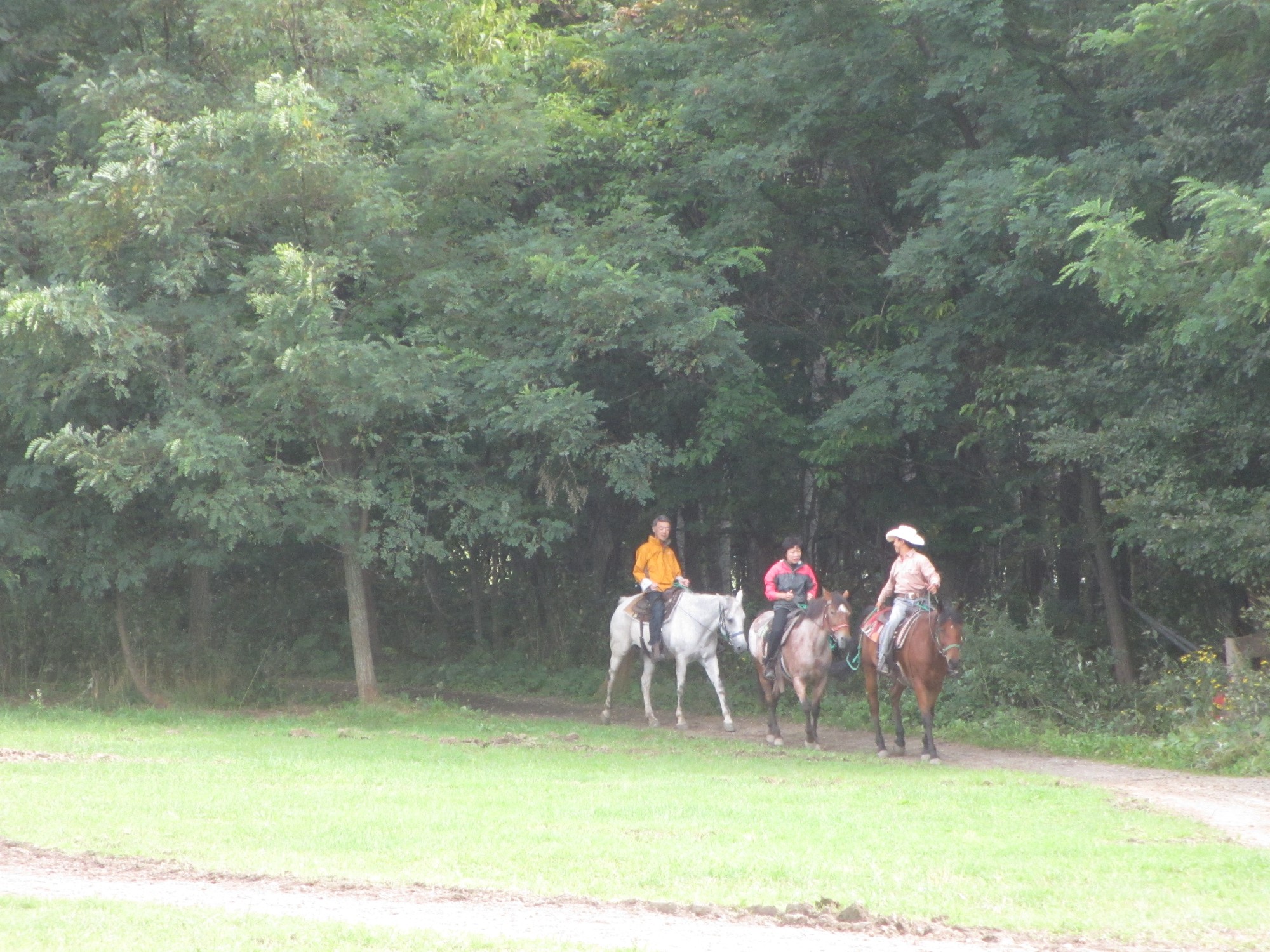ご自身で馬を操作しながらお散歩しませんか?馬の背から眺める北海道の大自然は別世界☆