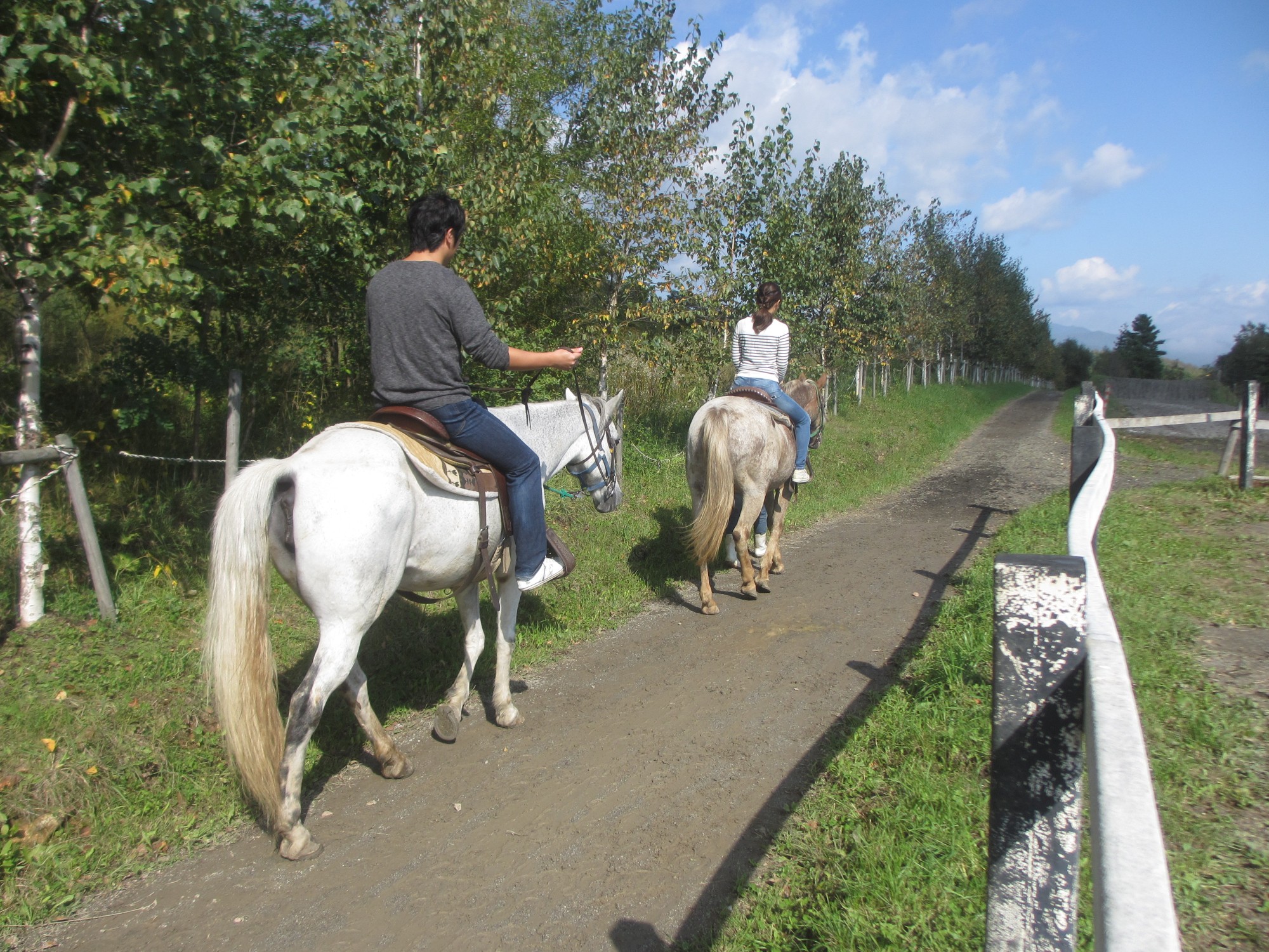 真っ青な青空のもと、馬に揺られて爽やかな風を感じてください!道草に気を付けて、いってらっしゃ〜〜い