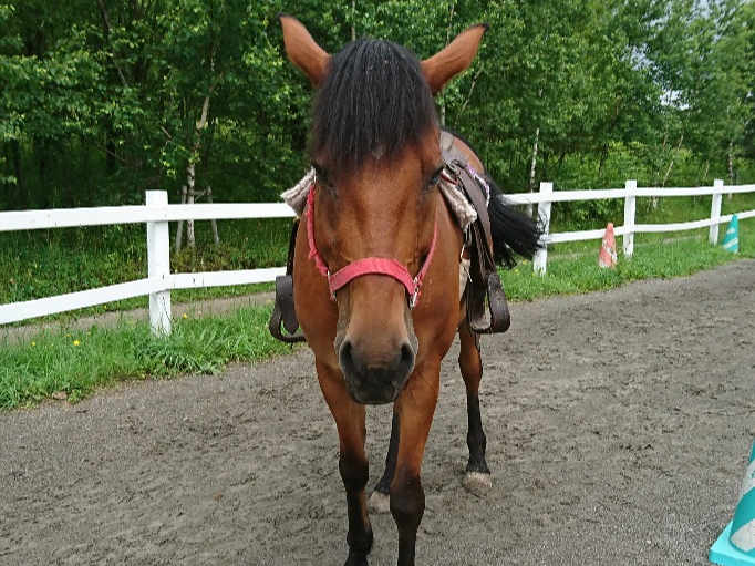 nƂǂAX^btꓯ҂Ă܂II