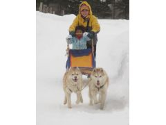 lŏ̂sȏȂqĺAꂳAƂ̓o܂B