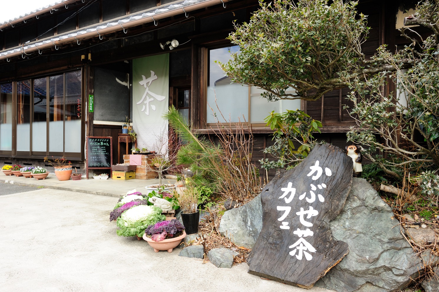 かぶせ茶カフェはこちら♪