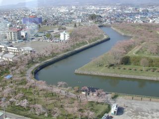 桜が咲き始めた五稜郭のタワーからの眺め