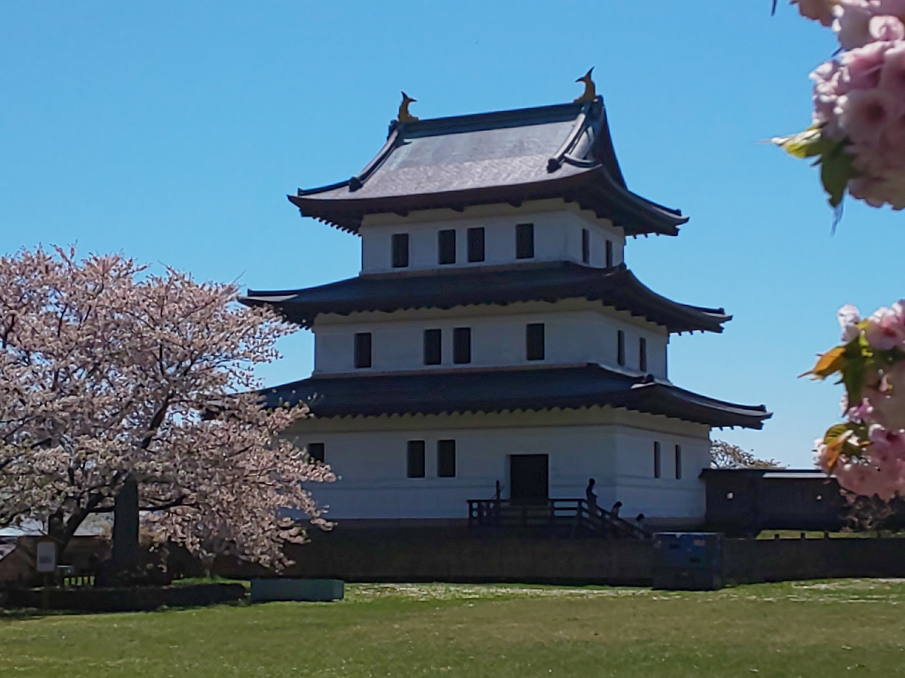 桜が満開の松前城