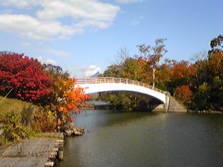 大沼公園(西大島橋)